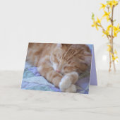 病気最低だ カード (黄色い花)