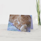 病気最低だ カード (正面)