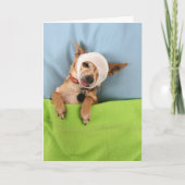 病気青い カード (正面)