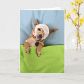 病気青い カード (黄色い花)