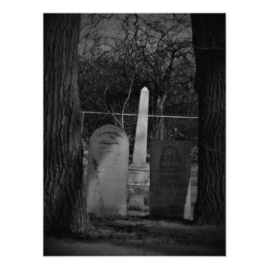 「病的な好奇心」 フォトプリント            (正面)