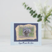 痒がり引っかきのラクーン　保存日 案内ポストカード (スタンド正面)