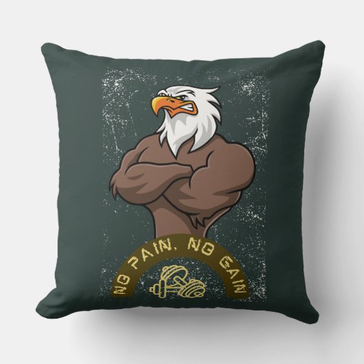 痛みも全く無い クッション (正面)