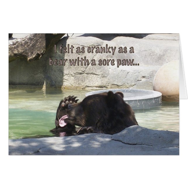 痛む足を搭載するくまとして不機嫌 (正面横)