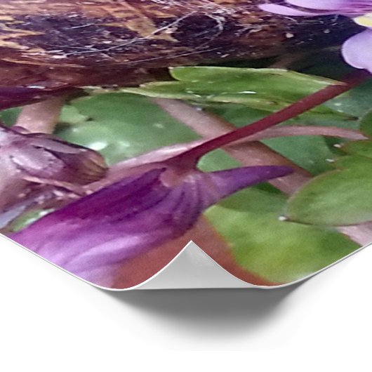 瘢痕殻 ポスター (角)