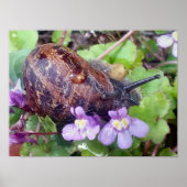 瘢痕殻 ポスター (正面)