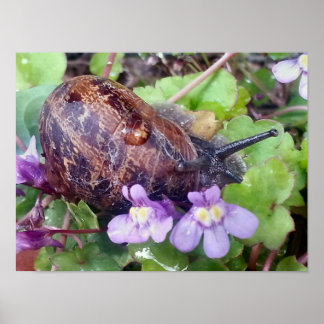 瘢痕殻 ポスター