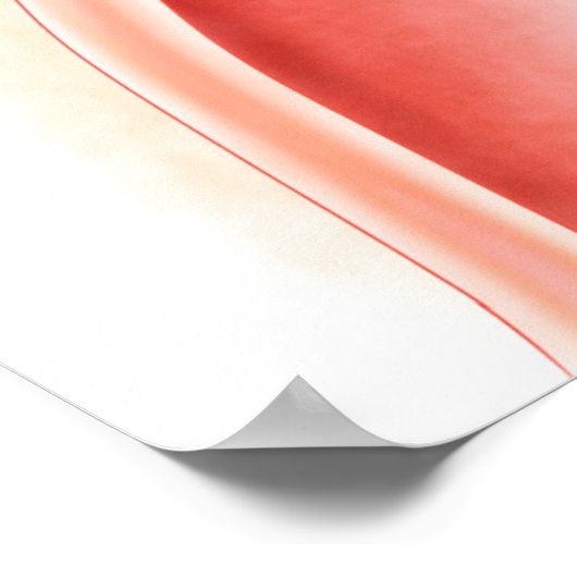 瘻孔の発達 ポスター (角)