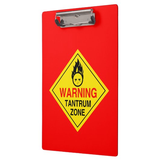 癇癪の地帯 クリップボード (左)