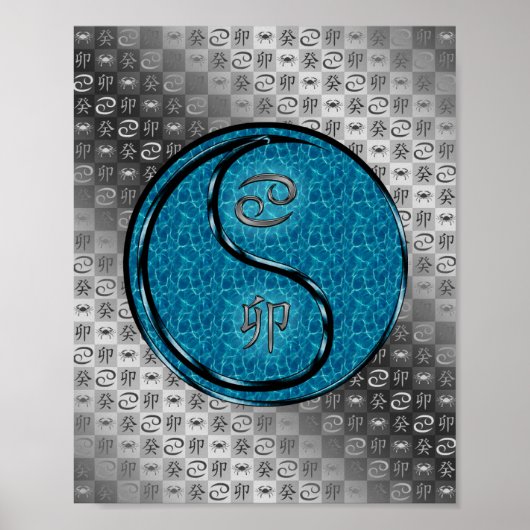 癌と水のウサギ ポスター (正面)