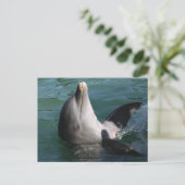 癒しのイルカ ポストカード (スタンド正面)