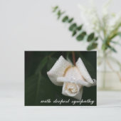 癒しのグリーンリーフホワイトローズ哀悼 ポストカード (スタンド正面)