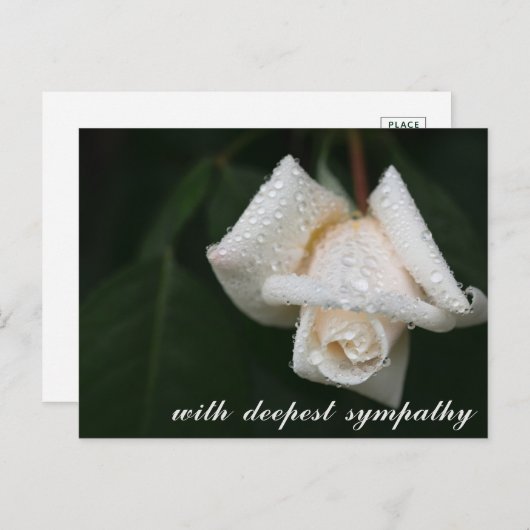癒しのグリーンリーフホワイトローズ哀悼 ポストカード (正面/裏面)