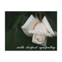 癒しのグリーンリーフホワイトローズ哀悼