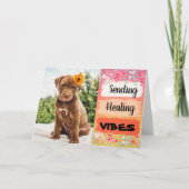 癒しのバイブを送るピットブルパピー カード (正面)