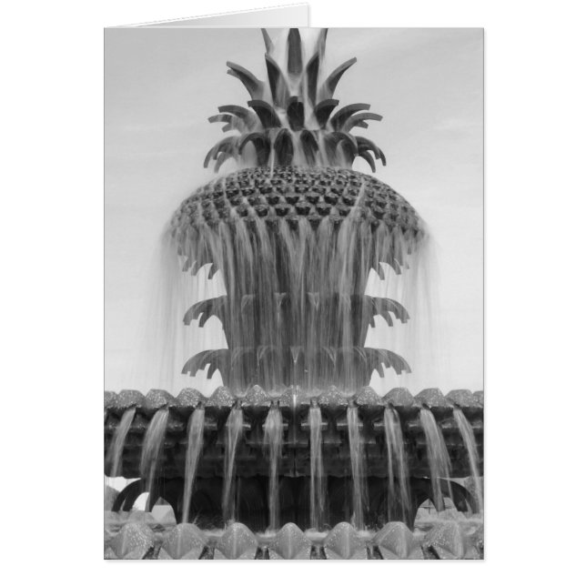 癒しのパイナップル (正面)