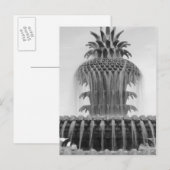 癒しのパイナップル ポストカード (正面/裏面)