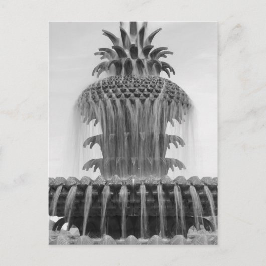 癒しのパイナップル ポストカード (正面)