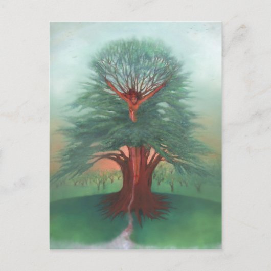 癒しの木 ポストカード (正面)