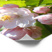 癒しの看護師 ピンクの花 ポスター 看護 (角)