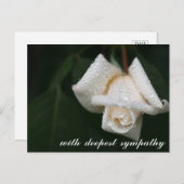 癒しの緑葉の悔やみや弔慰 ポストカード (正面/裏面)