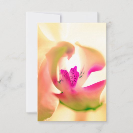 癒しの蘭デザインフラットカード (正面)