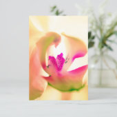 癒しの蘭デザインフラットカード (スタンド正面)