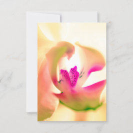 癒しの蘭デザインフラットカード