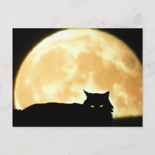 癒しの黒猫と満月 ポストカード