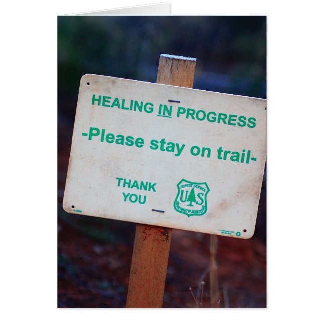 癒し進行中 – トレイル車に乗って下さい (正面)