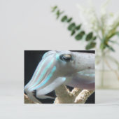 発光するイカ ポストカード (スタンド正面)