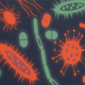 発光バクテリア微生物 グリーン レッド 壁紙 (縫い目)