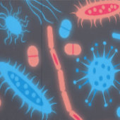 発光細菌微生物 ピンク ブルー 壁紙 (縫い目)