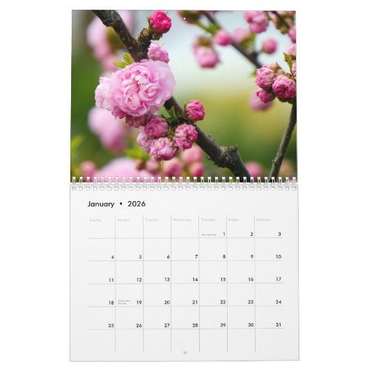 発光開花 カレンダー (1月 2026)