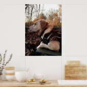 発射パッド上のダックミサイル ポスター (キッチン)