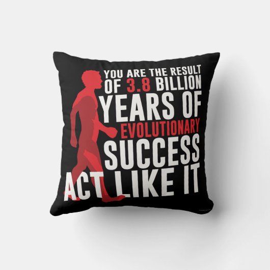 発展の成功 クッション (裏面)