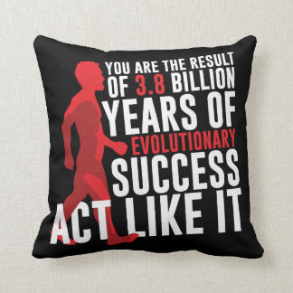 発展の成功 クッション