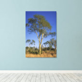 発熱ツリー（アカシア黄色体葉）、プンダマリア キャンバスプリント (インサイチュ (ウッドフロア))