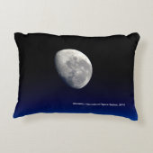 発病、国際的宇宙駅、2016 アクセントクッション (裏面)