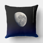 発病、国際的宇宙駅、2016 クッション (裏面)