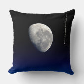 発病、国際的宇宙駅、2016 クッション (正面)