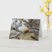 発芽のマグノリアの開花、信頼の中の詩 カード (黄色い花)
