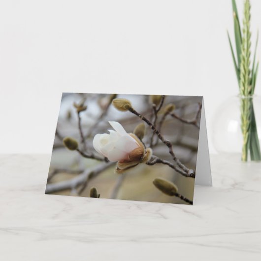 発芽のマグノリアの開花、信頼の中の詩 カード (正面)