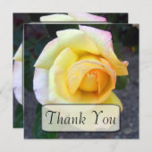発芽の黄色バラのサンキューカード サンキューカード (正面/裏面)