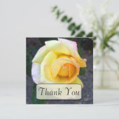 発芽の黄色バラのサンキューカード サンキューカード (スタンド正面)