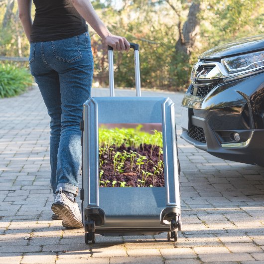 発芽草 シール (スーツケースインサイチュ)