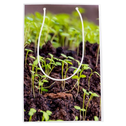 発芽草 ミディアムペーパーバッグ (正面)