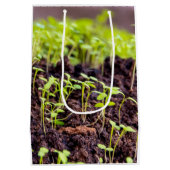 発芽草 ミディアムペーパーバッグ (裏面)