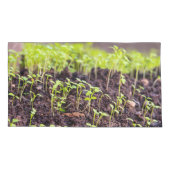 発芽草 枕カバー (裏面)