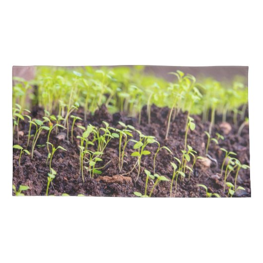 発芽草 枕カバー (裏面)